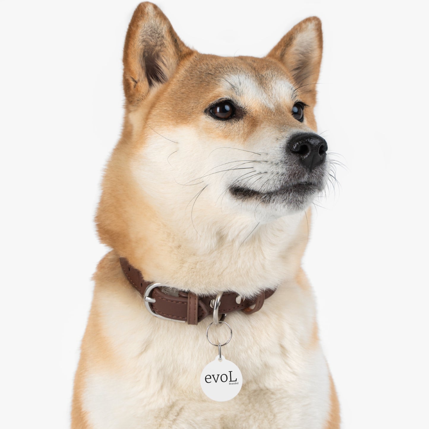 Custom Engravable Pet Tag - Stylish and Durable with Unique Design