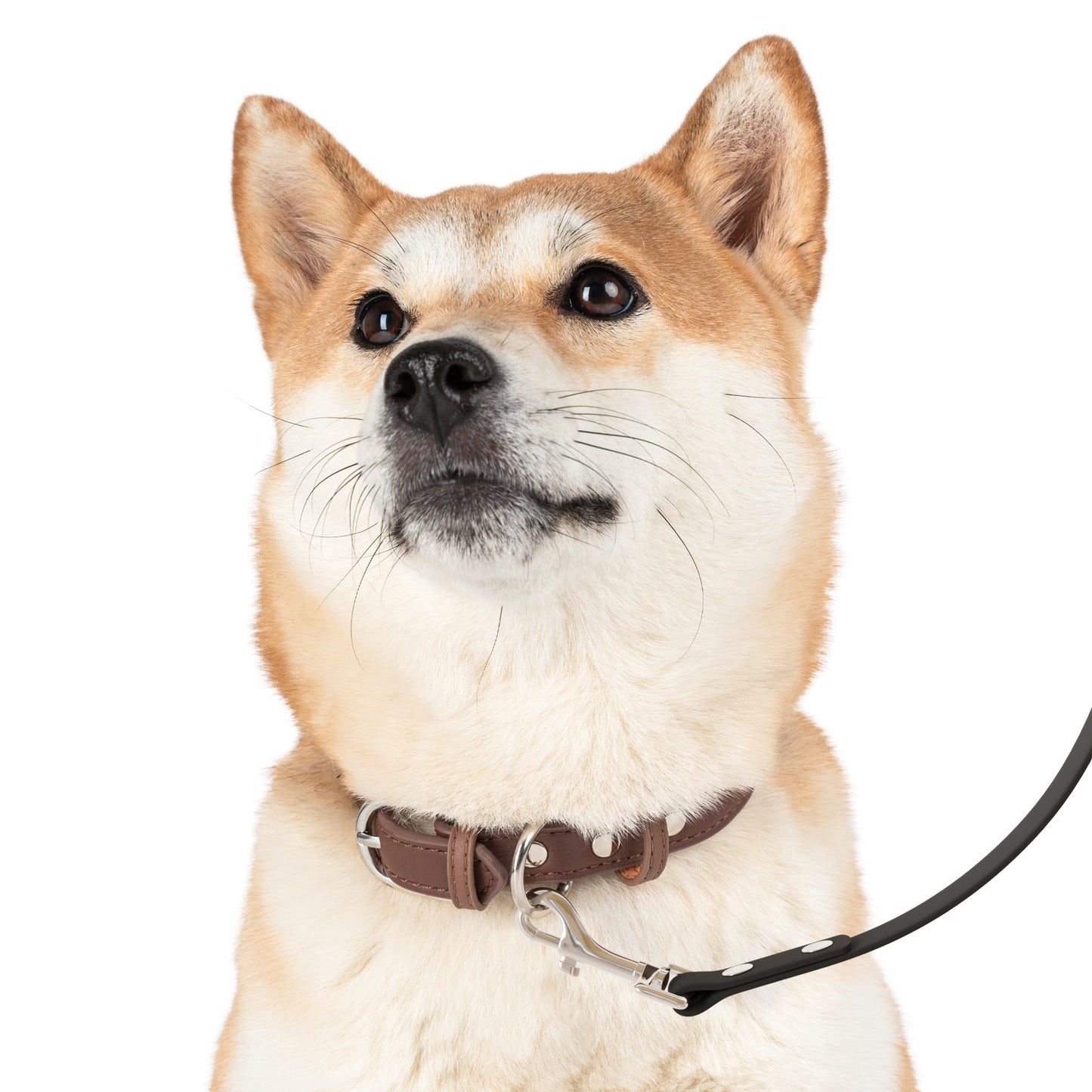 Stylish Pet Leash - Durable Black and White Design for Trendy Dog Walks