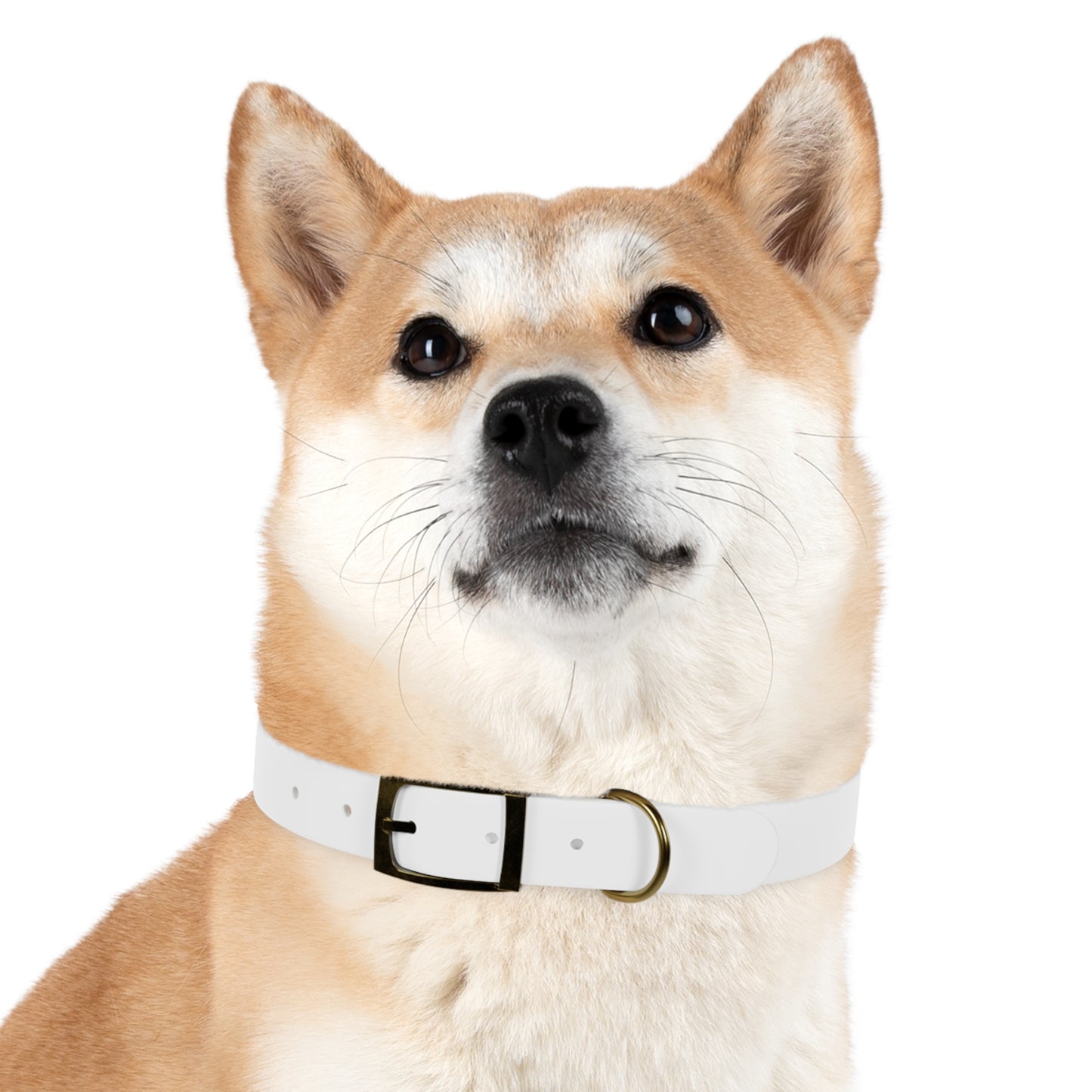 Personalized Pet Collar with Paw Print - Stylish White Dog Collar for Pet Lovers
