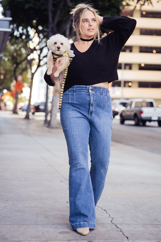 PLUS SIZE - HIGH RISE MODERN FLARE JEANS