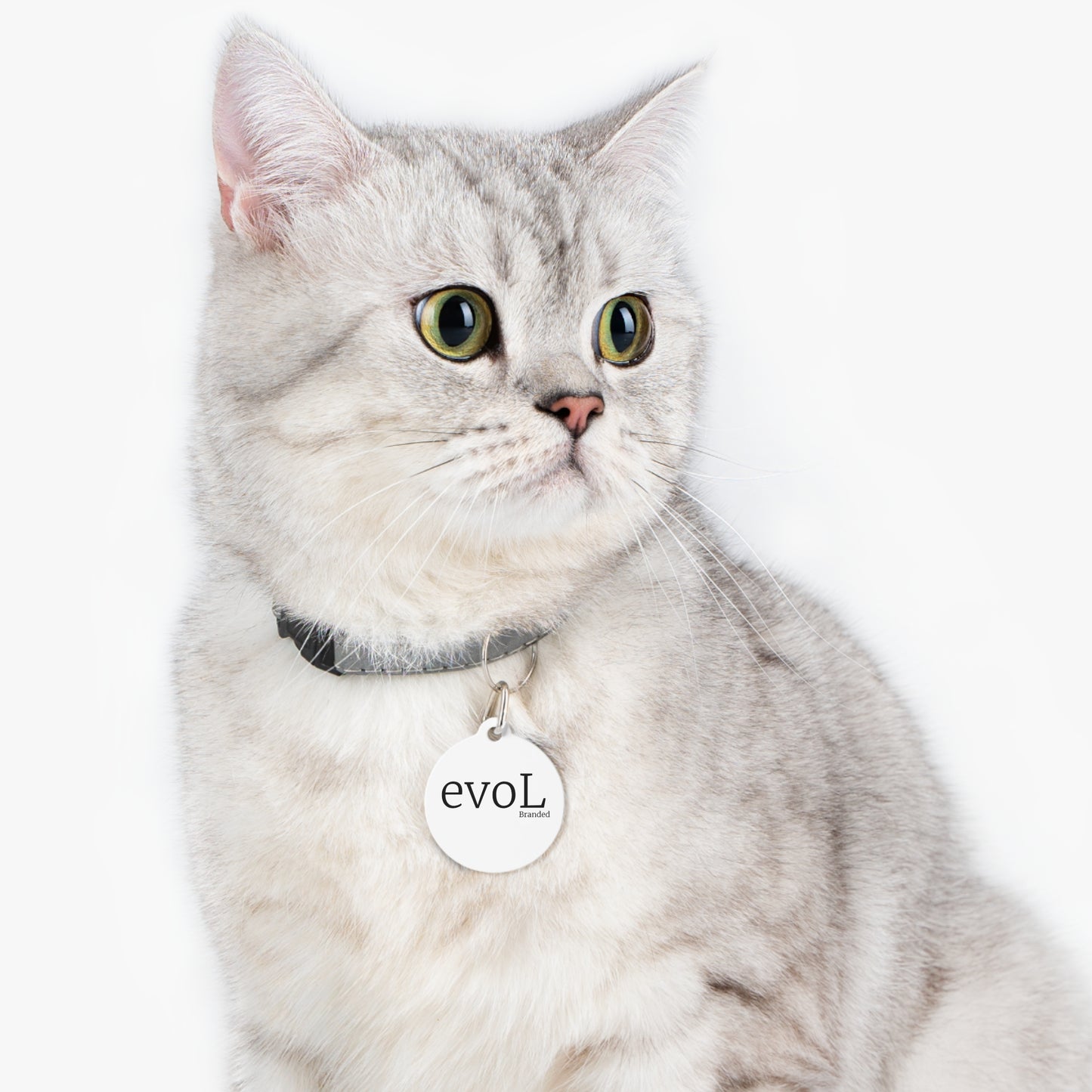 Custom Engravable Pet Tag - Stylish and Durable with Unique Design