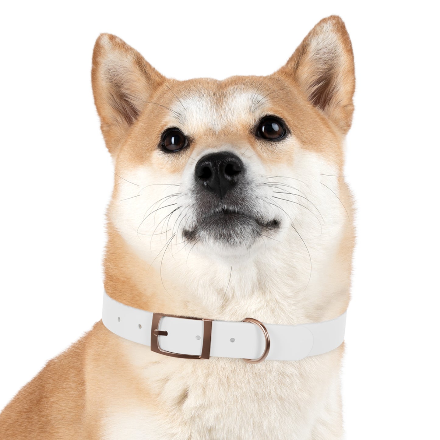 Personalized Pet Collar with Paw Print - Stylish White Dog Collar for Pet Lovers
