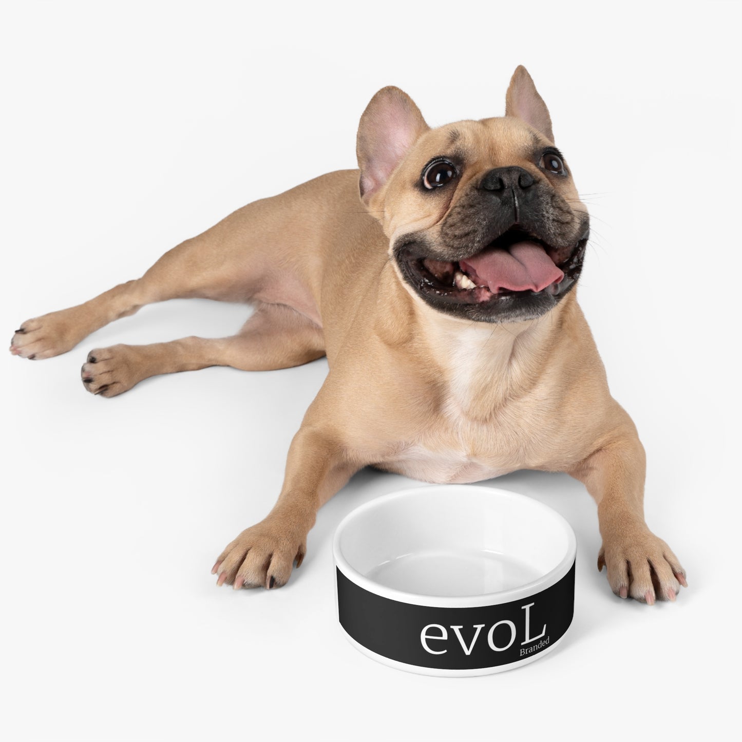 Stylish Pet Bowl for Modern Pets - Personalized with 'evoL' Design