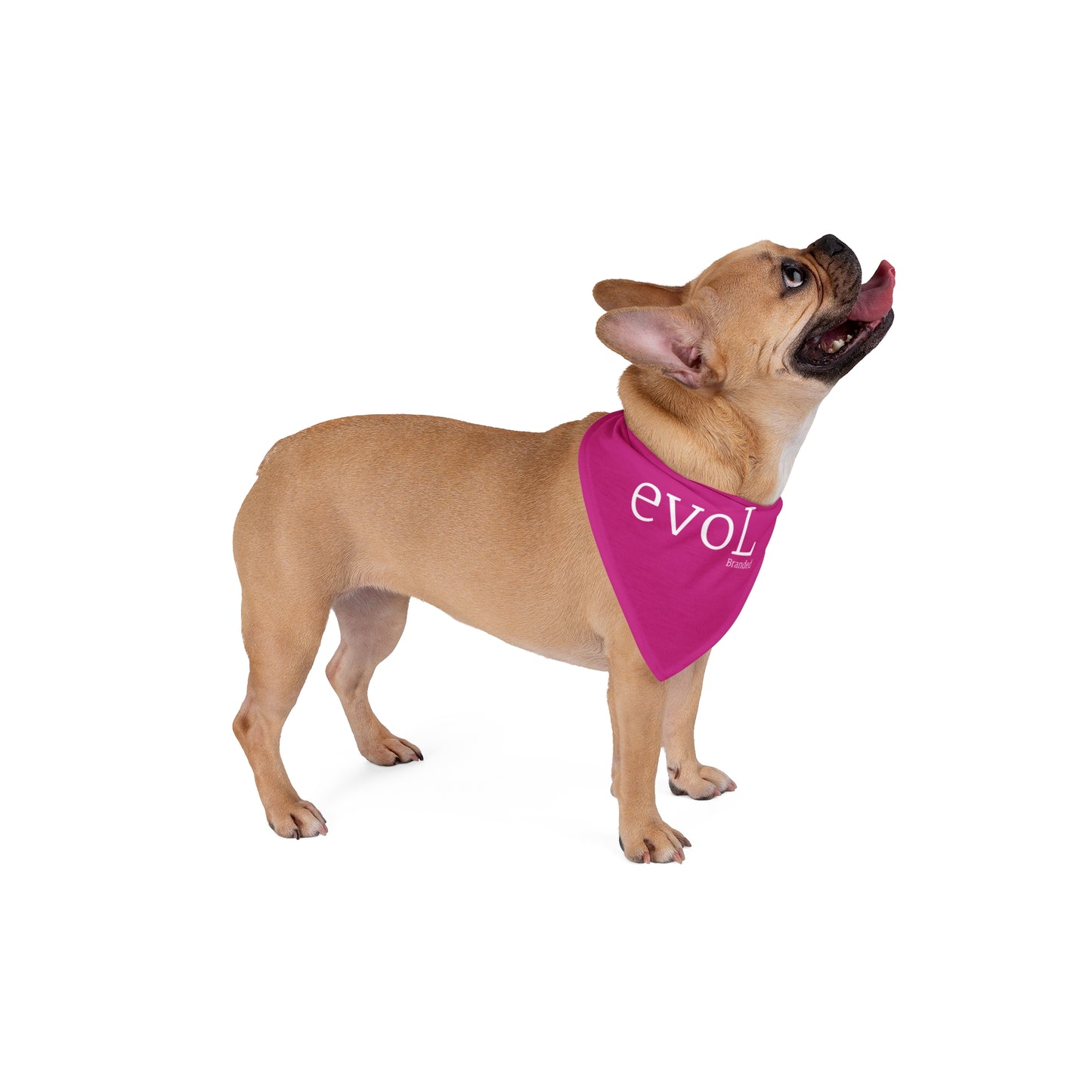Branded Pet Bandana - Stylish Pink Accessories for Pet Lovers