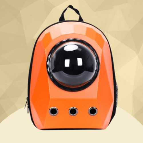 The Wanderlust Pet Adventure Backpack: Stylish And Functional Travel