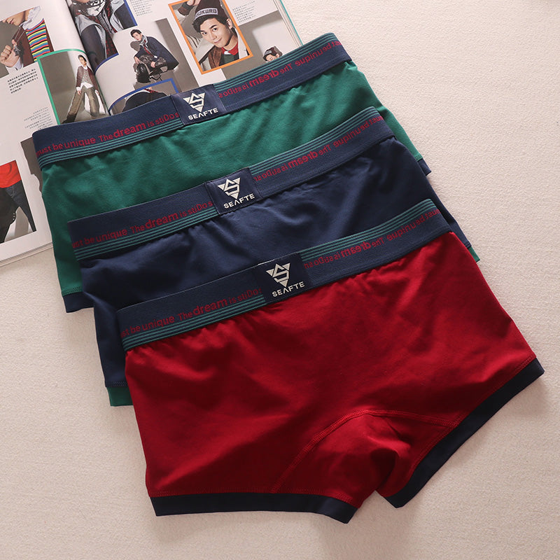 3 Pieces Minimalist Artistic Retro Low Waist Men's Underwear