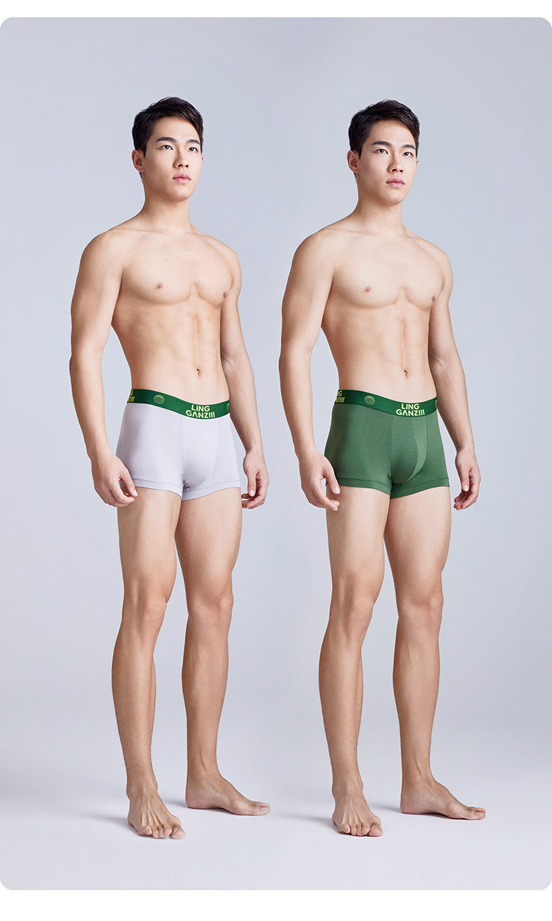 Zero Perception Men Underwear Classy Modal Boys Boxers Boxers Mid Waist Sports Underpants Wg40m1