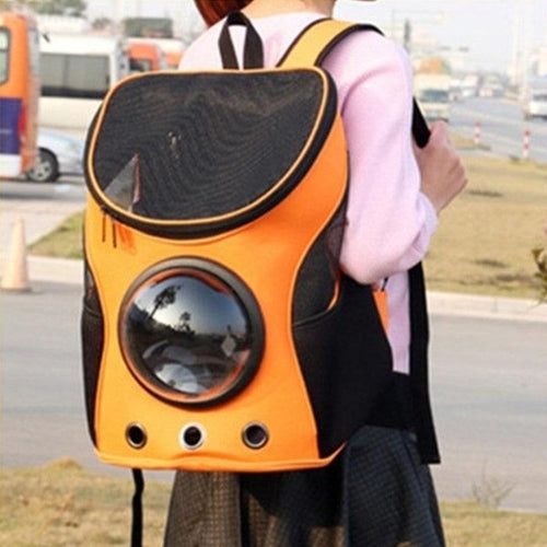 Adventure Paws Portable Pet Carrier: The Stylish Solution For