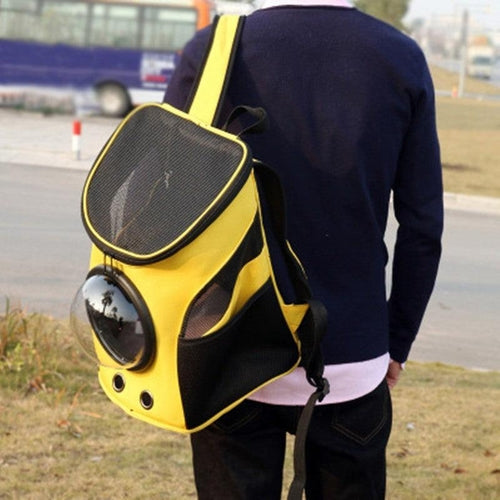Adventure Paws Portable Pet Carrier: The Stylish Solution For