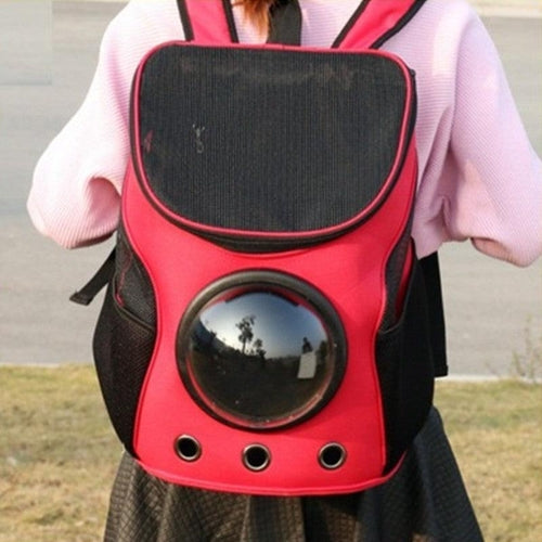 Adventure Paws Portable Pet Carrier: The Stylish Solution For