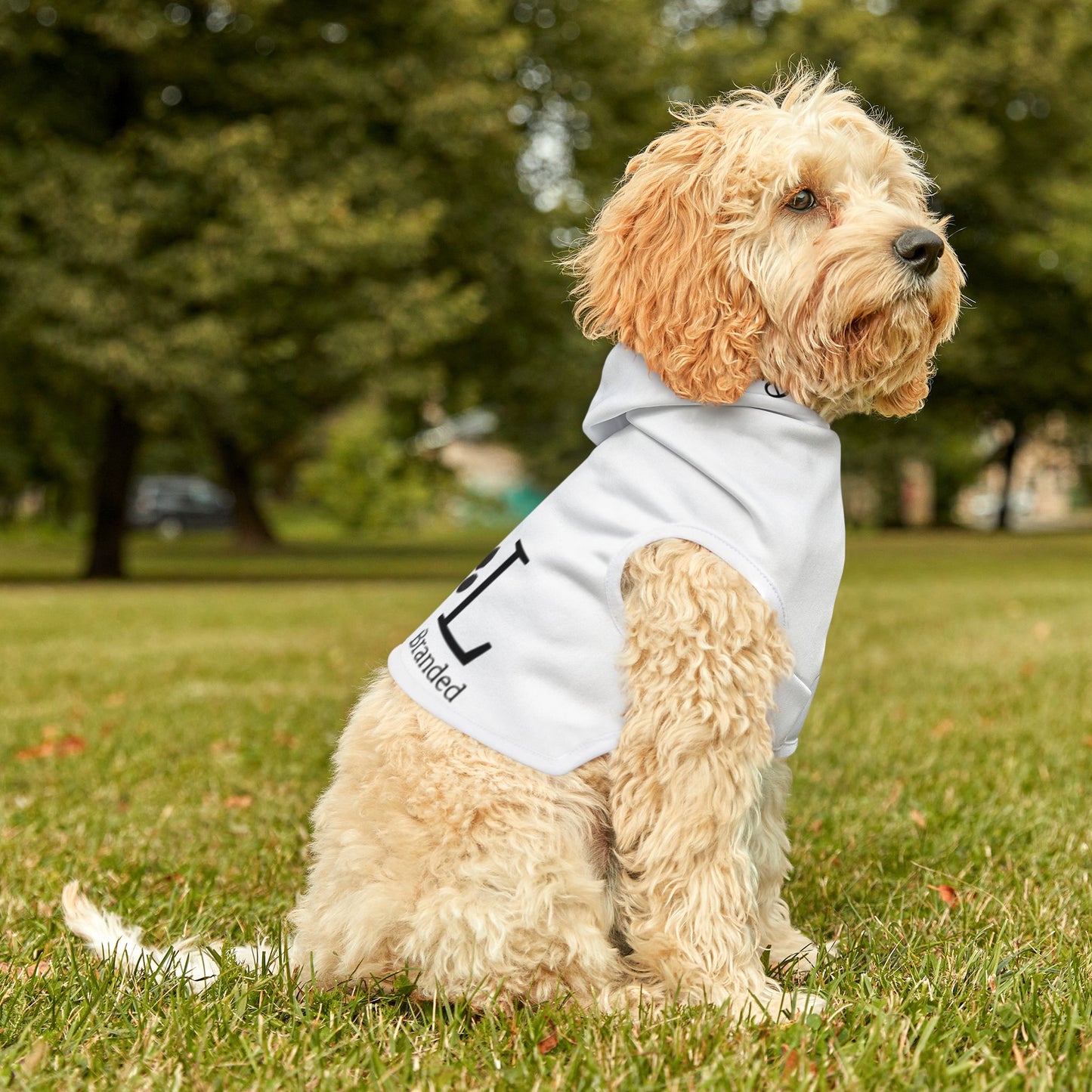 Cozy Pet Hoodie for Stylish Pets - Perfect for Pet Lovers