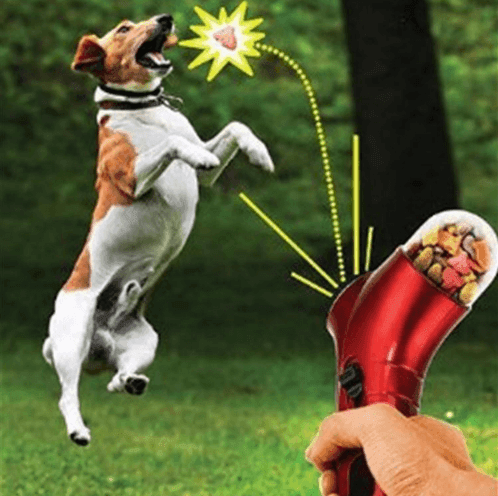 The Pawsome Treat Blaster: Portable Pet Food Catapult Feeder