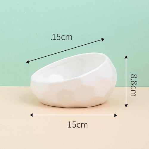 Elegant Ceramic Pet Bowl With Oblique Mouth