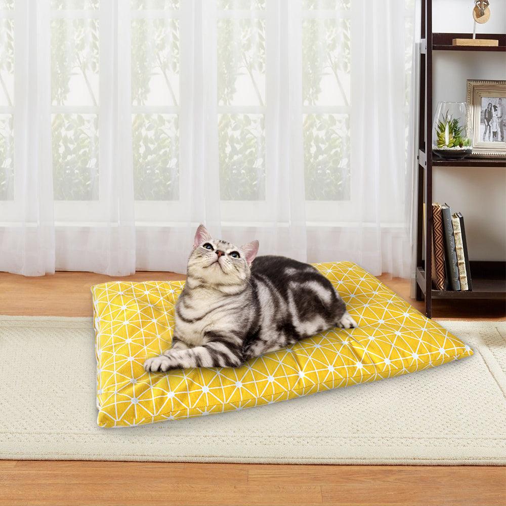 Plush Paws Palace: The Ultimate Luxury Dog Bed House
