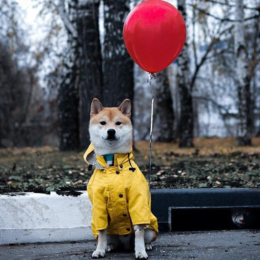 Classic British Style Dog Raincoat - Stylish And Functional Pet